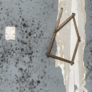 woning op maat | hout, metaal | h 42 cm | 2024